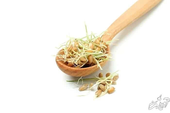 تمام خواص خوردن جوانه گندم  خاصیت جوانه گندم چیست؟